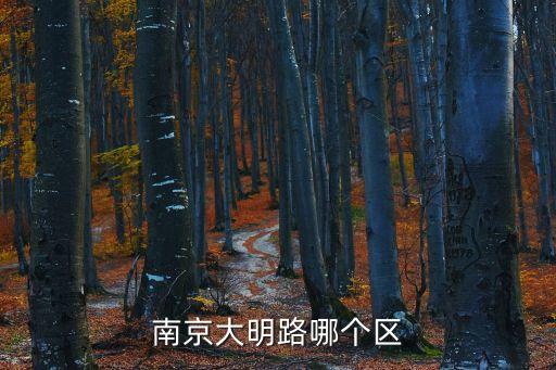 南京大明路哪個區(qū)