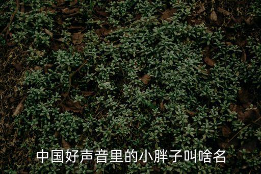 葛林，在保姆媽媽中葛林是誰(shuí)飾演的