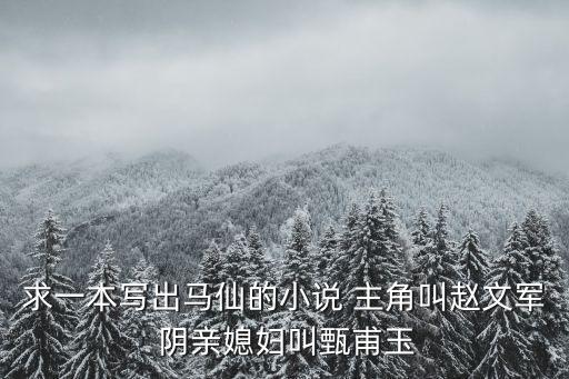 趙文軍，求一本寫出馬仙的小說 主角叫趙文軍 陰親媳婦叫甄甫玉
