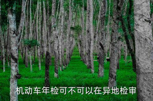 機動車年檢可不可以在異地檢審