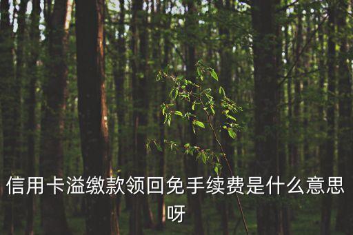 信用卡溢繳款領(lǐng)回免手續(xù)費(fèi)是什么意思呀