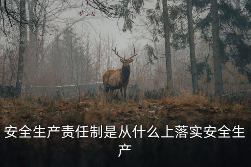 安全生產(chǎn)責(zé)任制是從什么上落實(shí)安全生產(chǎn)