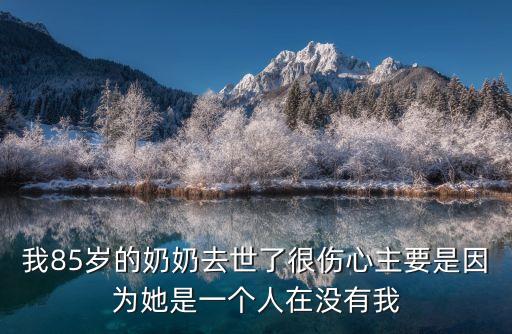 我85歲的奶奶去世了很傷心主要是因?yàn)樗且粋€(gè)人在沒有我