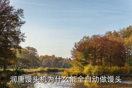 潤(rùn)唐，潤(rùn)唐饅頭機(jī)為什么能全自動(dòng)做饅頭