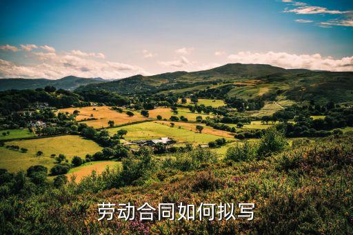 企業(yè)勞動合同范本，勞動合同文檔