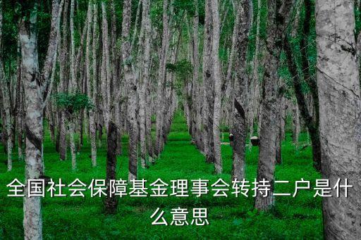 全國(guó)社會(huì)保障基金理事會(huì)轉(zhuǎn)持二戶是什么意思