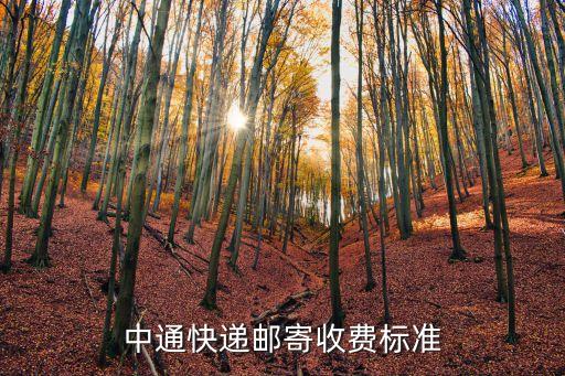 中通快遞郵寄收費(fèi)標(biāo)準(zhǔn)