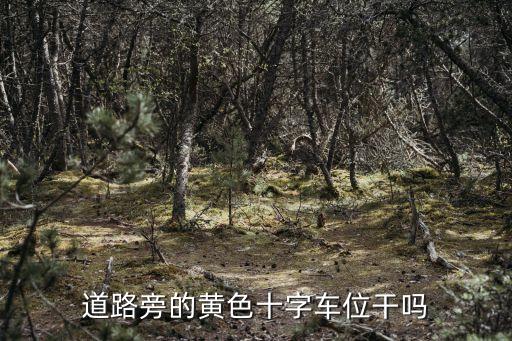 黃色停車位，停車位顏色