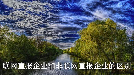聯(lián)網(wǎng)直報(bào)企業(yè)和非聯(lián)網(wǎng)直報(bào)企業(yè)的區(qū)別