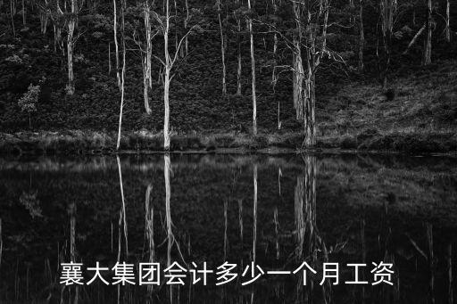 襄大集團(tuán)會(huì)計(jì)多少一個(gè)月工資