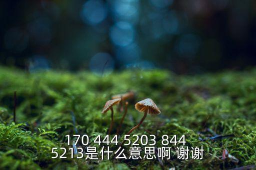 170 444 5203 844 5213是什么意思啊 謝謝