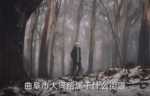 曲阜市大同路屬于什么街道