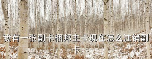 我有一張副卡梱邦主卡現(xiàn)在怎么注銷副卡