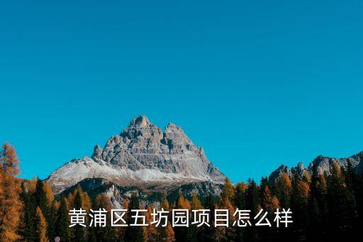 五坊園，黃浦區(qū)五坊園項(xiàng)目怎么樣