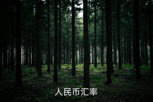 在岸人民幣匯率，人民幣匯率