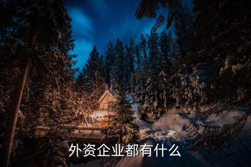 外企有哪些，昆明的外資企業(yè)有哪些