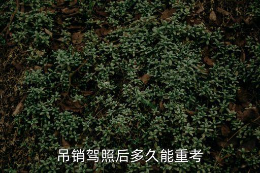 吊銷駕照后多久能重考