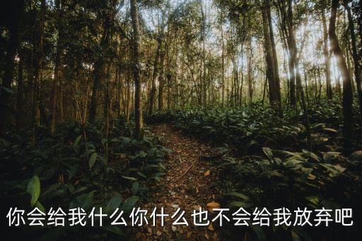 你會給我什么你什么也不會給我放棄吧