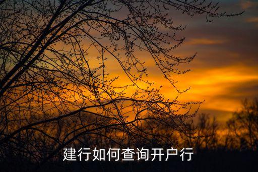 建行如何查詢(xún)開(kāi)戶(hù)行
