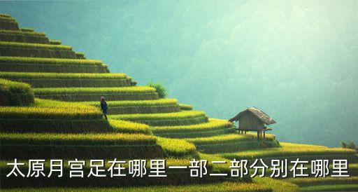 太原絲足，太原哪里有SJ的周邊店