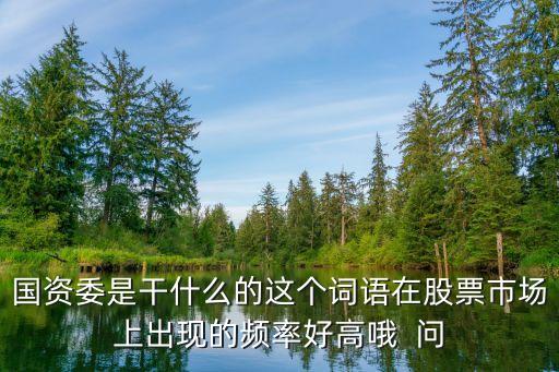 國資委是干什么的這個詞語在股票市場上出現(xiàn)的頻率好高哦  問