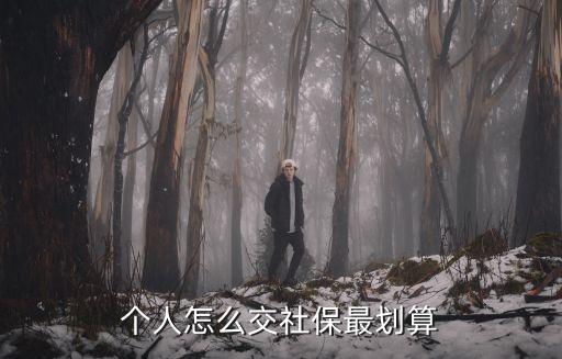 社保怎么買最劃算，個人如何繳納社保醫(yī)保最劃算