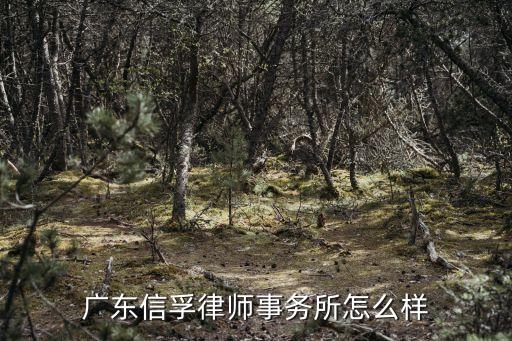 信孚，信孚教育集團(tuán)有沒有辦高中