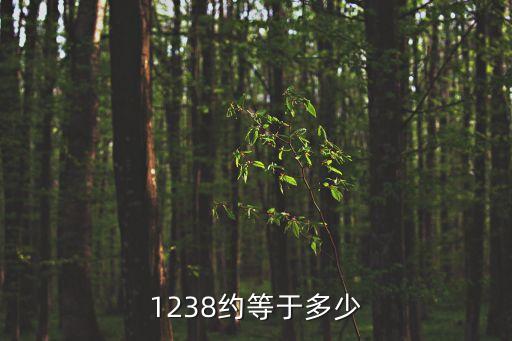 1238，1238列車經(jīng)過城站嗎