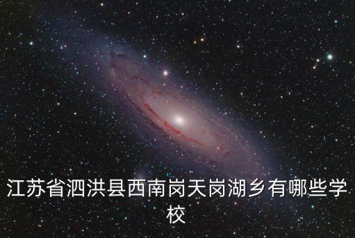 江蘇省泗洪縣西南崗天崗湖鄉(xiāng)有哪些學(xué)校