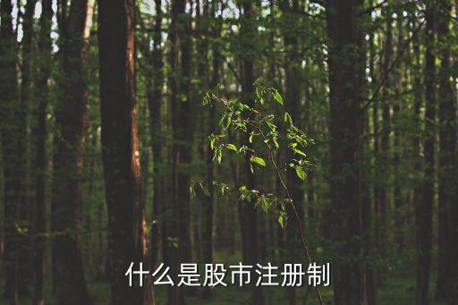 什么是股市注冊制