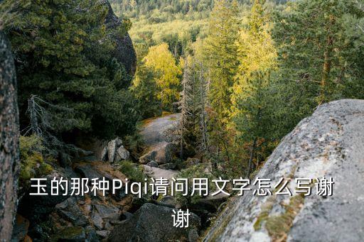 piqi，玉的那種Piqi請問用文字怎么寫謝謝