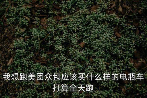 我想跑美團眾包應該買什么樣的電瓶車打算全天跑