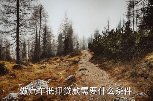 ?？谄嚨盅嘿J款，海南地區(qū)有汽車抵押貸款嗎