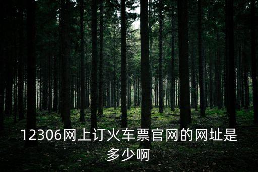 12306網(wǎng)上訂火車票官網(wǎng)的網(wǎng)址是多少啊