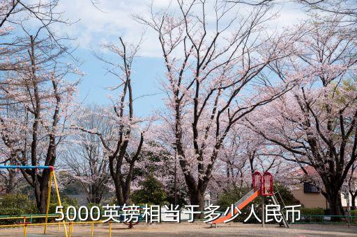 5000英鎊相當(dāng)于多少人民幣