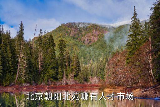 第三置業(yè)大廈，北京朝陽北苑哪有人才市場(chǎng)