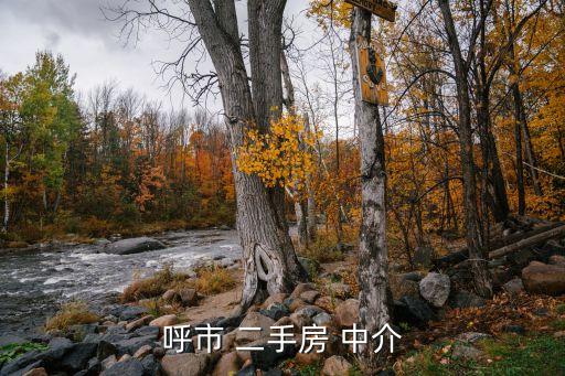 呼市 二手房 中介