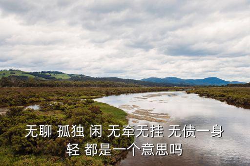 無債一身輕，無聊 孤獨(dú) 閑 無牽無掛 無債一身輕 都是一個(gè)意思嗎