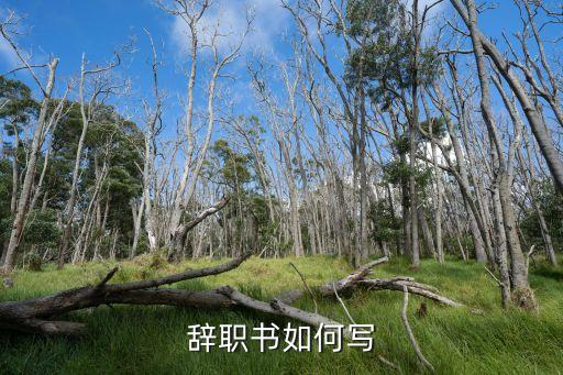 辭職信怎樣寫，辭職信要怎么寫