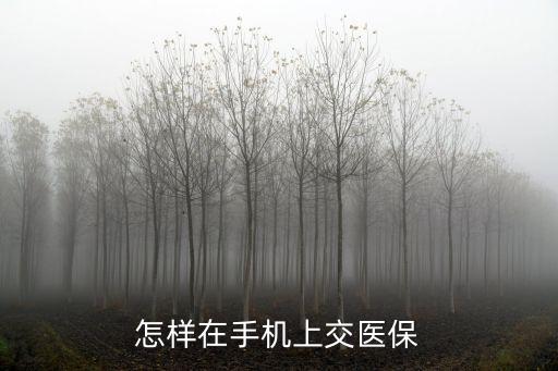 怎樣在手機上交醫(yī)保