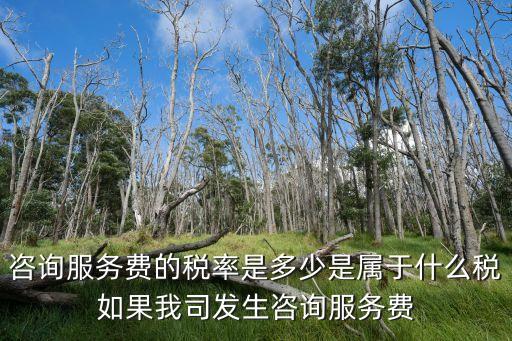 咨詢服務(wù)費的稅率是多少是屬于什么稅如果我司發(fā)生咨詢服務(wù)費