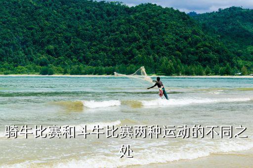 騎牛比賽和斗牛比賽兩種運(yùn)動(dòng)的不同之處