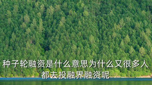種子輪融資是什么意思為什么又很多人都去投融界融資呢