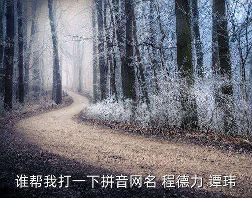 譚瑋，誰幫我打一下拼音網(wǎng)名 程德力 譚瑋