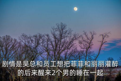 劇情是吳總和員工想把菲菲和麗麗灌醉的后來醒來2個男的睡在一起