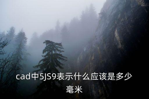cad中5JS9表示什么應(yīng)該是多少毫米