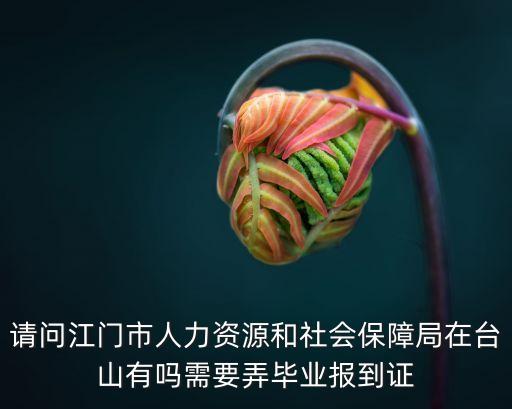 請問江門市人力資源和社會保障局在臺山有嗎需要弄畢業(yè)報到證