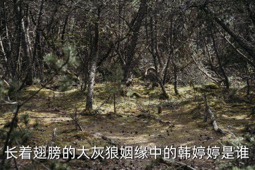 長(zhǎng)著翅膀的大灰狼姻緣中的韓婷婷是誰(shuí)