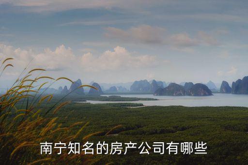 南寧知名的房產公司有哪些