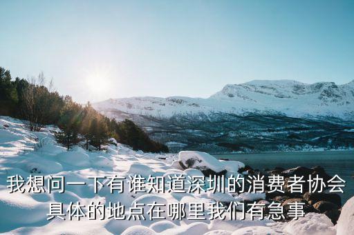 我想問一下有誰知道深圳的消費(fèi)者協(xié)會(huì)具體的地點(diǎn)在哪里我們有急事